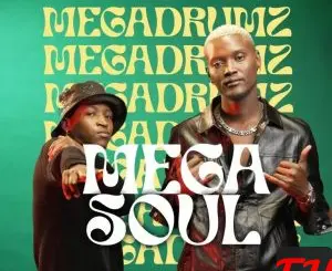 Megadrumz Mega Soul Album Download