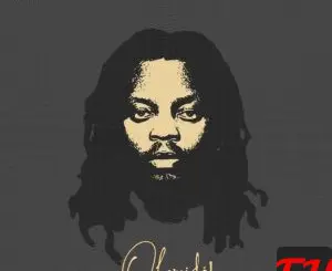 HYPETRIBE on X: "🚨OLAMIDE “OLAMIDÉ” ALBUM OUT NOW 🚨  https://t.co/pnUD2sWNoS" / X