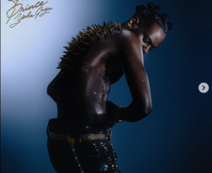 Musa Keys Fresh Prince Yaka Gaza Album Download