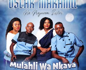 Mulahli Wa Nkava, Vol. 15 - Album by Oscar Makamu na Majuvani Sisters | Spotify