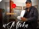 DOWNLOAD ALBUM: uMfoka Msezane - Ithishi | Mp3 & Zip - Maskandi Updates